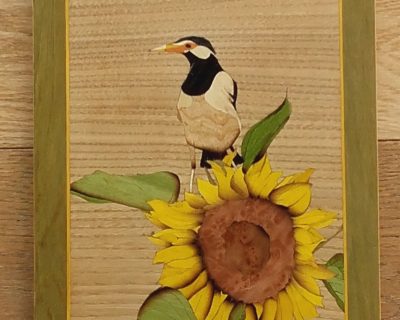 L’oiseau sur le soleil