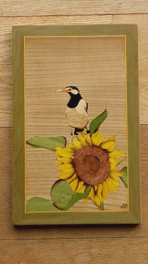 L’oiseau sur le soleil