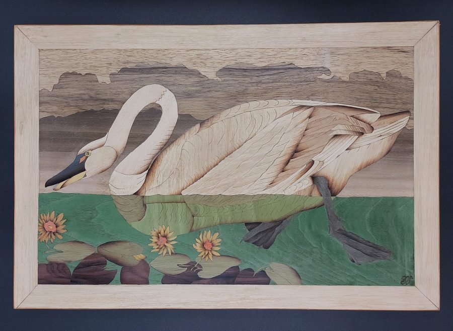 Le lac du cygne