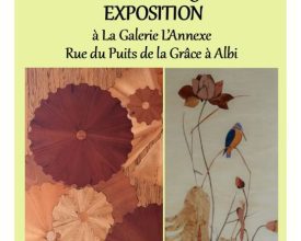 Aux bois de Mai, une exposition conjointe à Albi