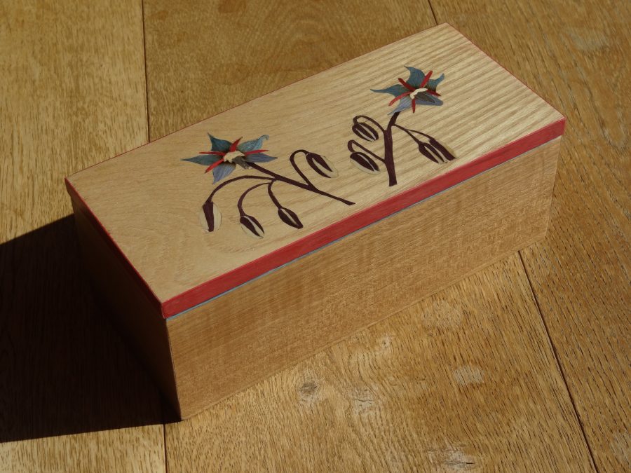 Coffret Fleurs du Tarn « La Bourrache »