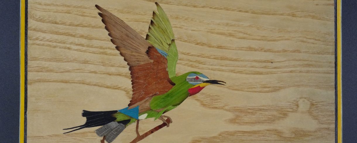 Oiseaux