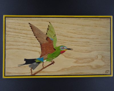 Oiseaux