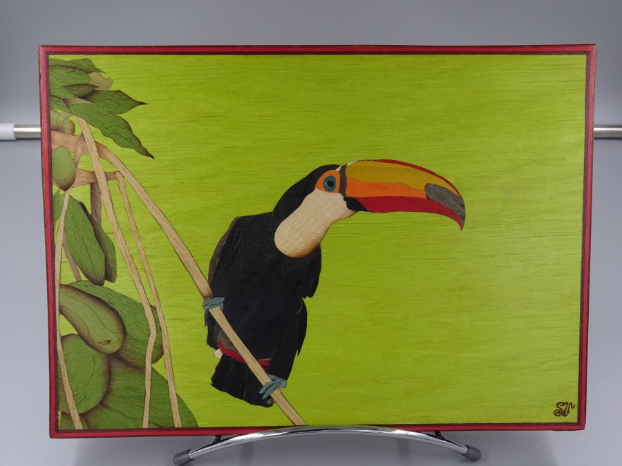 Le toucan toco