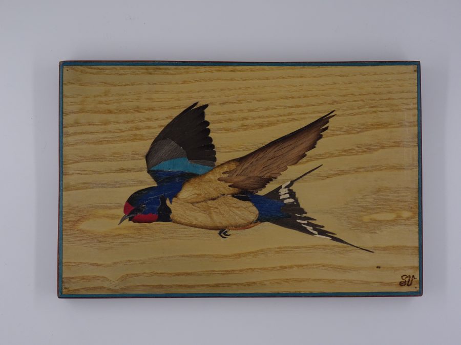 Couleurs de l’hirondelle