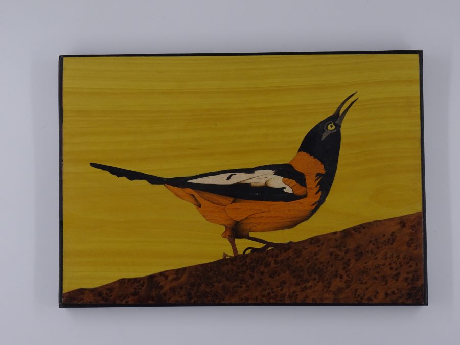 L’orange des savanes