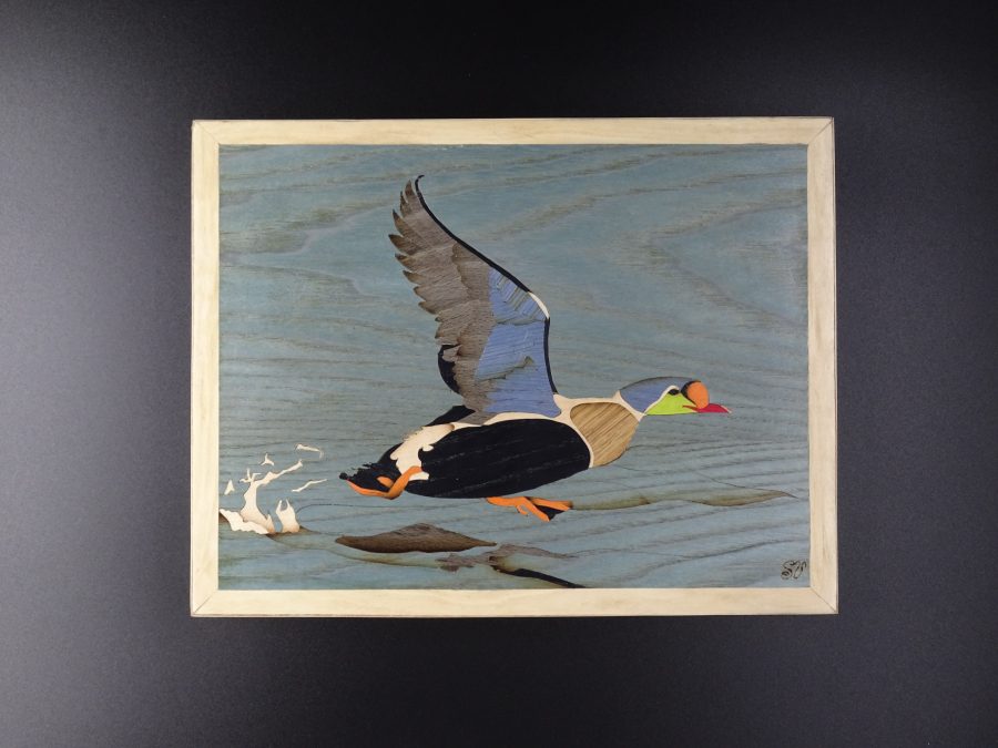 Couleurs de l’Arctique