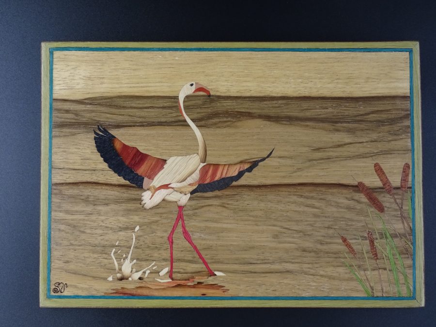 Le flamant d’Al Basra