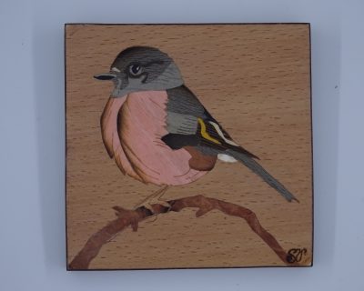 Pink Robin