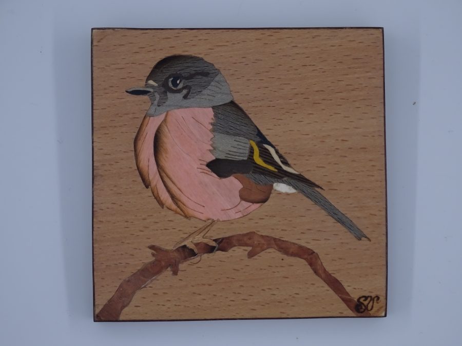 Pink Robin