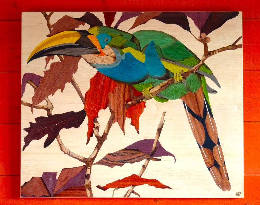Toucan émeraude