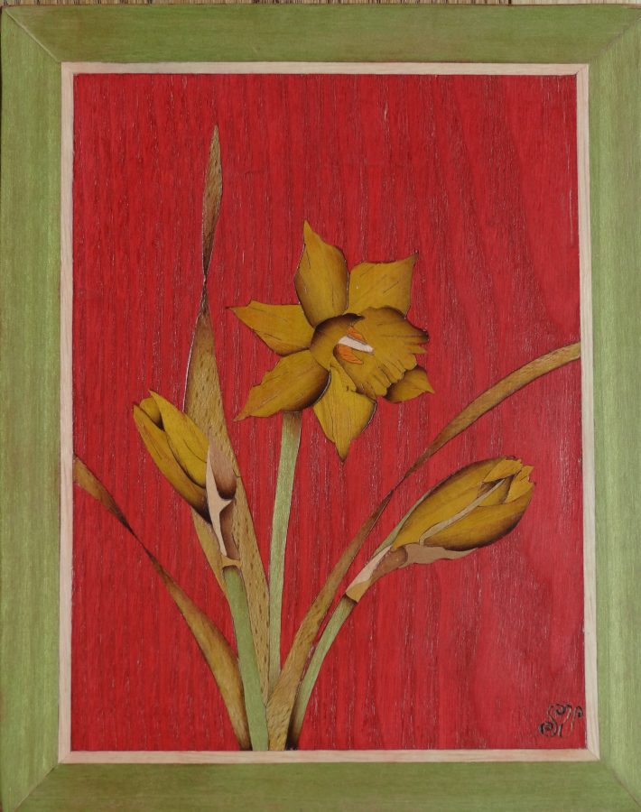 Jonquilles à Rayssac