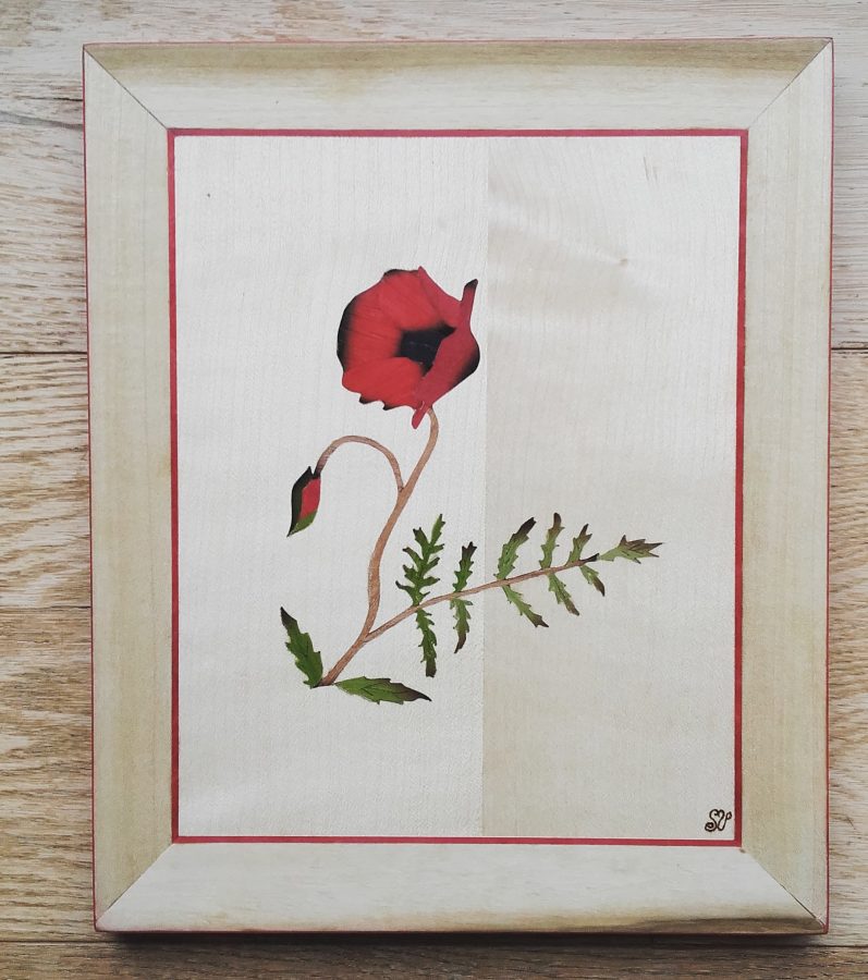 Le Coquelicot